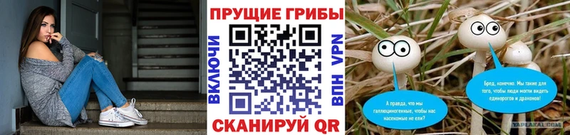 MEGA онион  как найти наркотики  Подольск  Галлюциногенные грибы GOLDEN TEACHER 