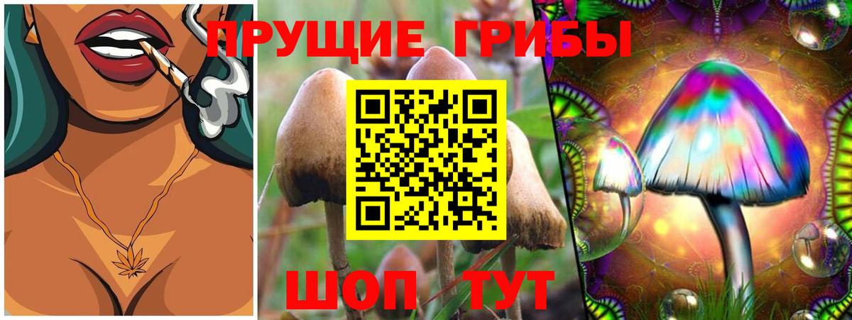 Псилоцибиновые грибы мухоморы Подольск