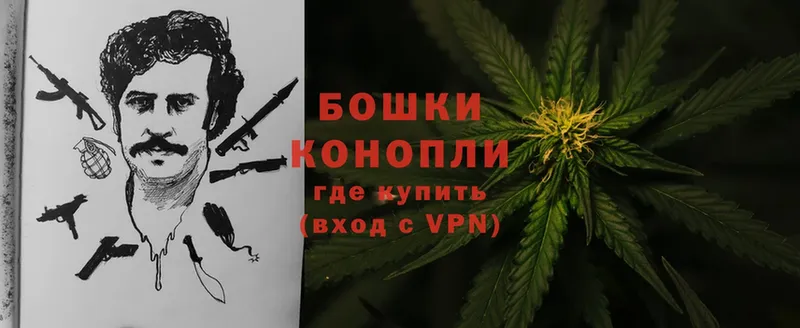 Бошки Шишки THC 21%  закладки  Подольск 